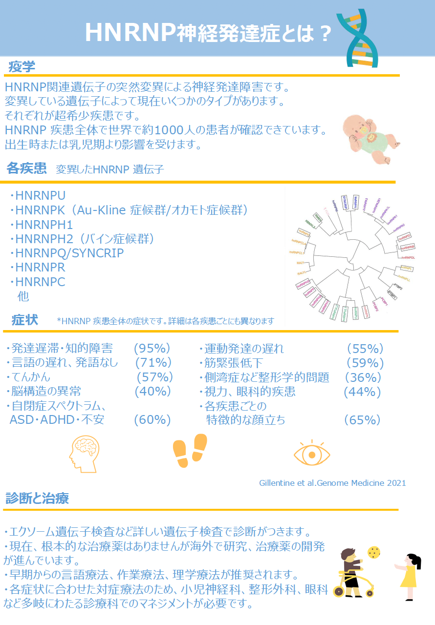 HNRNP-パンフレット